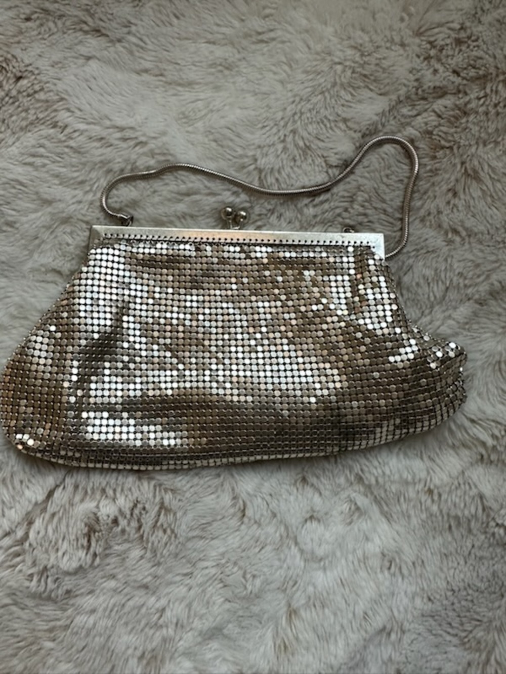 Silver Mesh Evening Coin purse